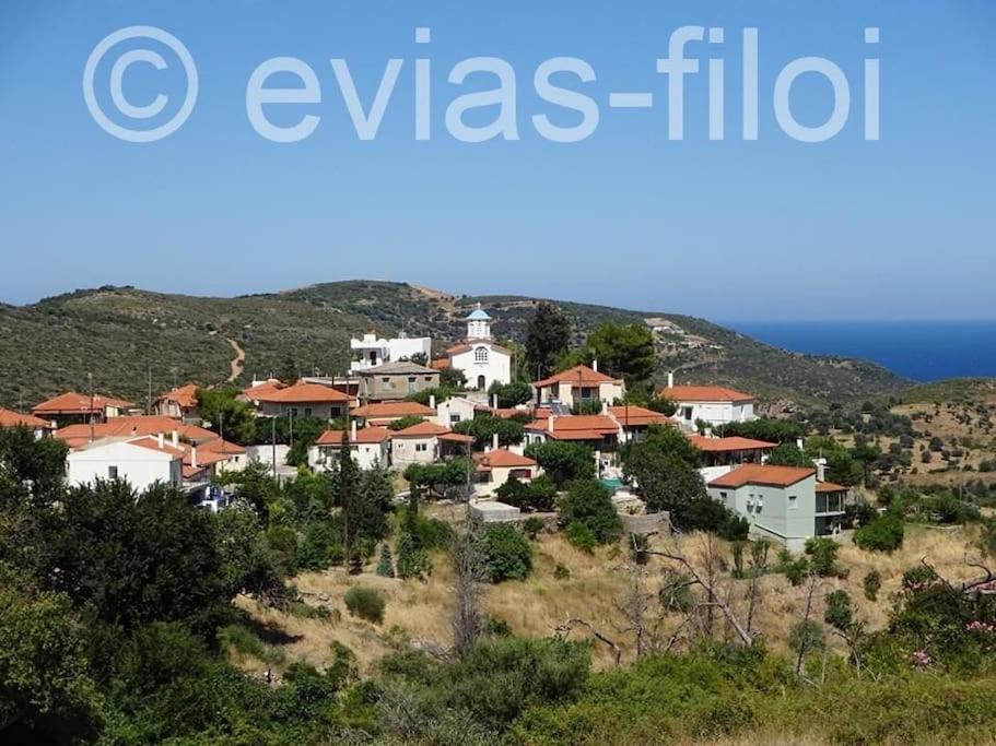 Вилла Παραθαλασσιο Σπιτι Στην Εξοχη Tsakei Экстерьер фото
