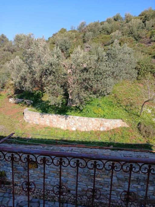 Вилла Παραθαλασσιο Σπιτι Στην Εξοχη Tsakei Экстерьер фото