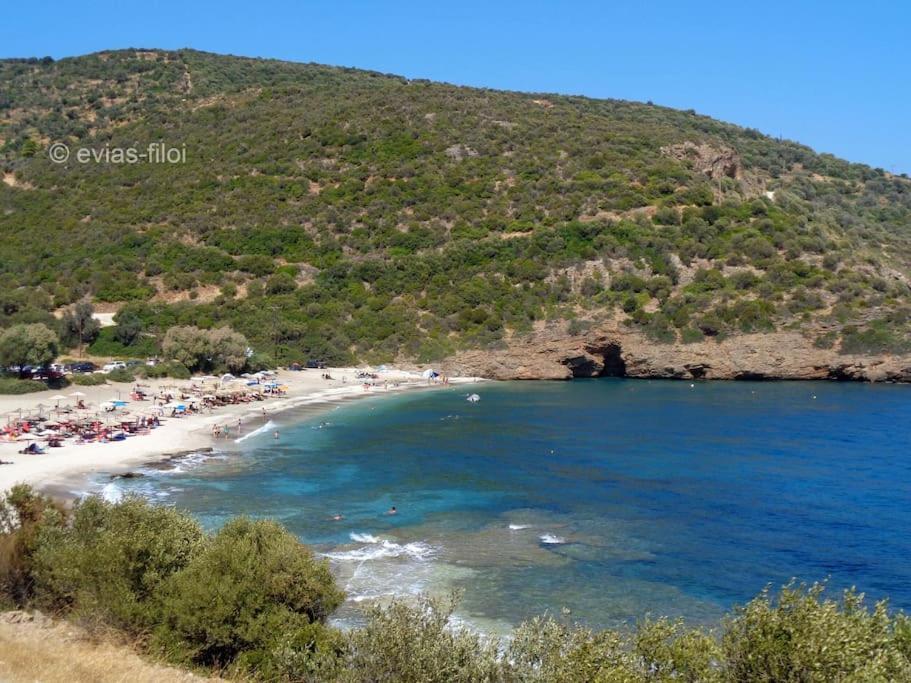 Вилла Παραθαλασσιο Σπιτι Στην Εξοχη Tsakei Экстерьер фото